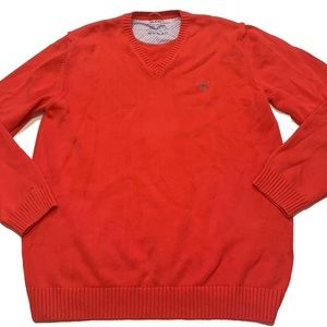 L / GANT V Neck sweater
